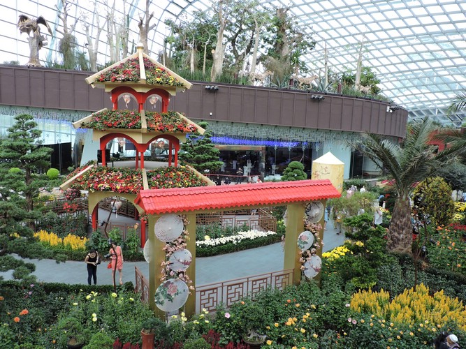 DSCN2745.JPG