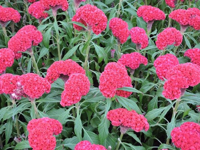 DSCN2755.JPG
