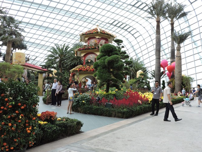 DSCN2762.JPG