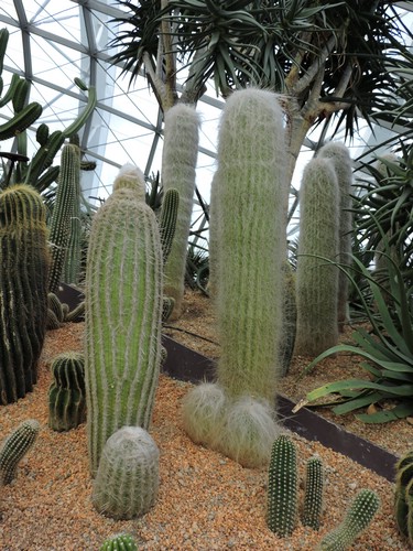 DSCN2766.JPG
