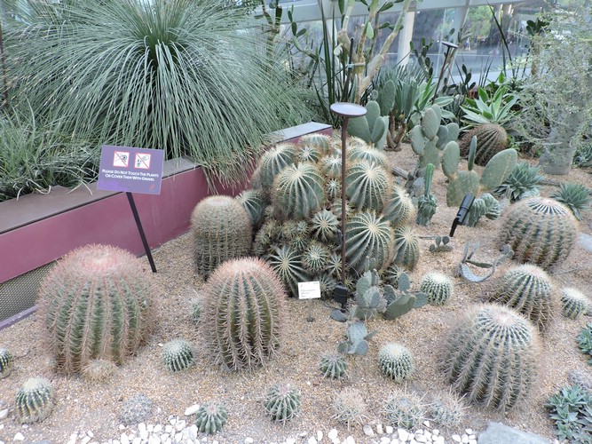DSCN2769.JPG
