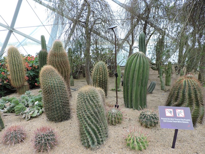 DSCN2770.JPG
