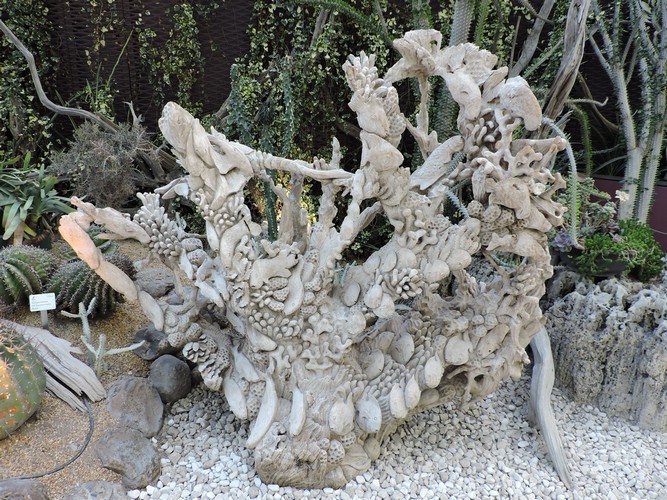 DSCN2781.JPG