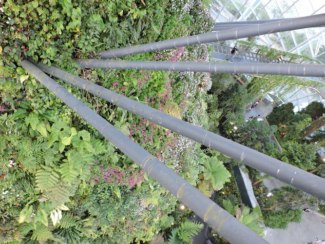 DSCN2808.JPG