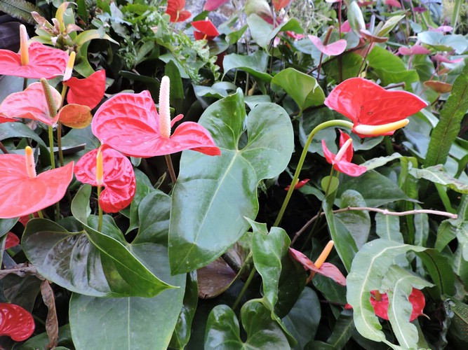 DSCN2809.JPG