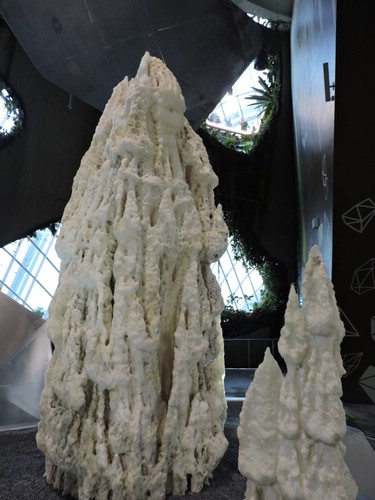 DSCN2819.JPG