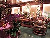 DSCN2592.JPG