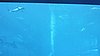 DSCN2690.JPG