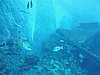 DSCN2693.JPG