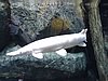 DSCN2707.JPG