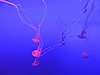 DSCN2716.JPG