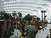 DSCN2740.JPG