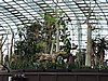 DSCN2741.JPG