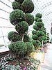 DSCN2751.JPG