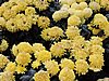 DSCN2756.JPG