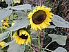 DSCN2761.JPG