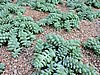 DSCN2763.JPG