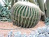 DSCN2765.JPG