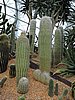 DSCN2766.JPG