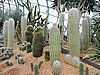 DSCN2767.JPG