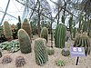 DSCN2770.JPG
