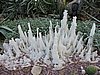 DSCN2778.JPG