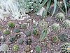 DSCN2779.JPG