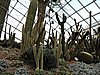 DSCN2780.JPG