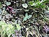 DSCN2790.JPG