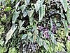 DSCN2791.JPG