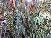 DSCN2799.JPG