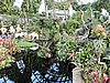DSCN2801.JPG