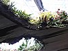 DSCN2810.JPG