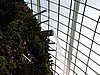 DSCN2814.JPG