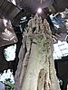 DSCN2817.JPG