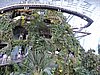 DSCN2820.JPG