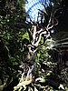 DSCN2831.JPG