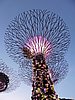 DSCN2835.JPG