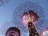 DSCN2838.JPG