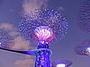 DSCN2842.JPG