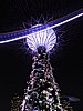 DSCN2847.JPG
