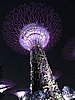 DSCN2849.JPG