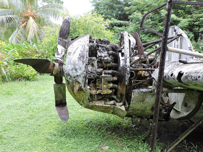 DSCN5526.JPG