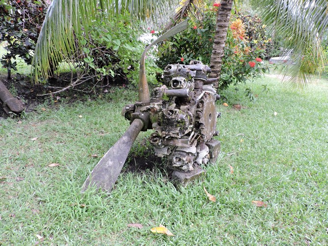 DSCN5531.JPG