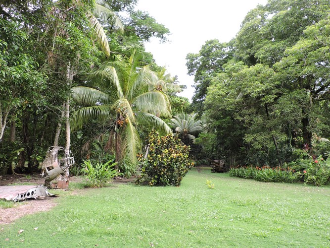 DSCN5533.JPG