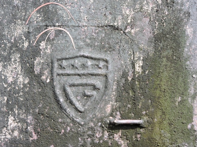 DSCN5550.JPG