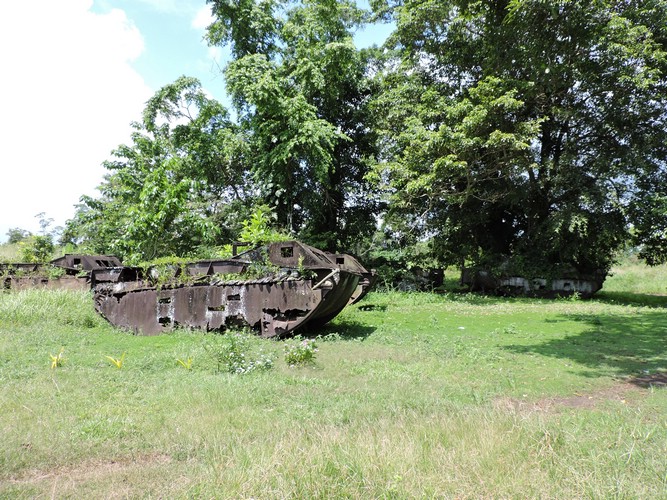DSCN5565.JPG