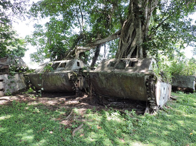 DSCN5569.JPG