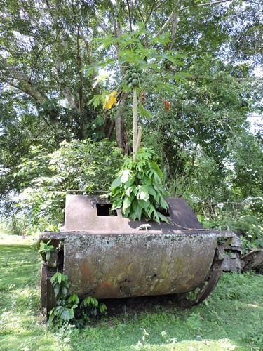 DSCN5571.JPG