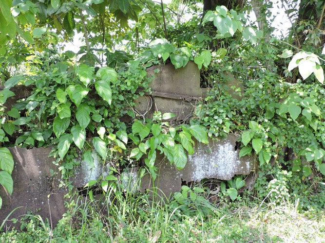 DSCN5574.JPG